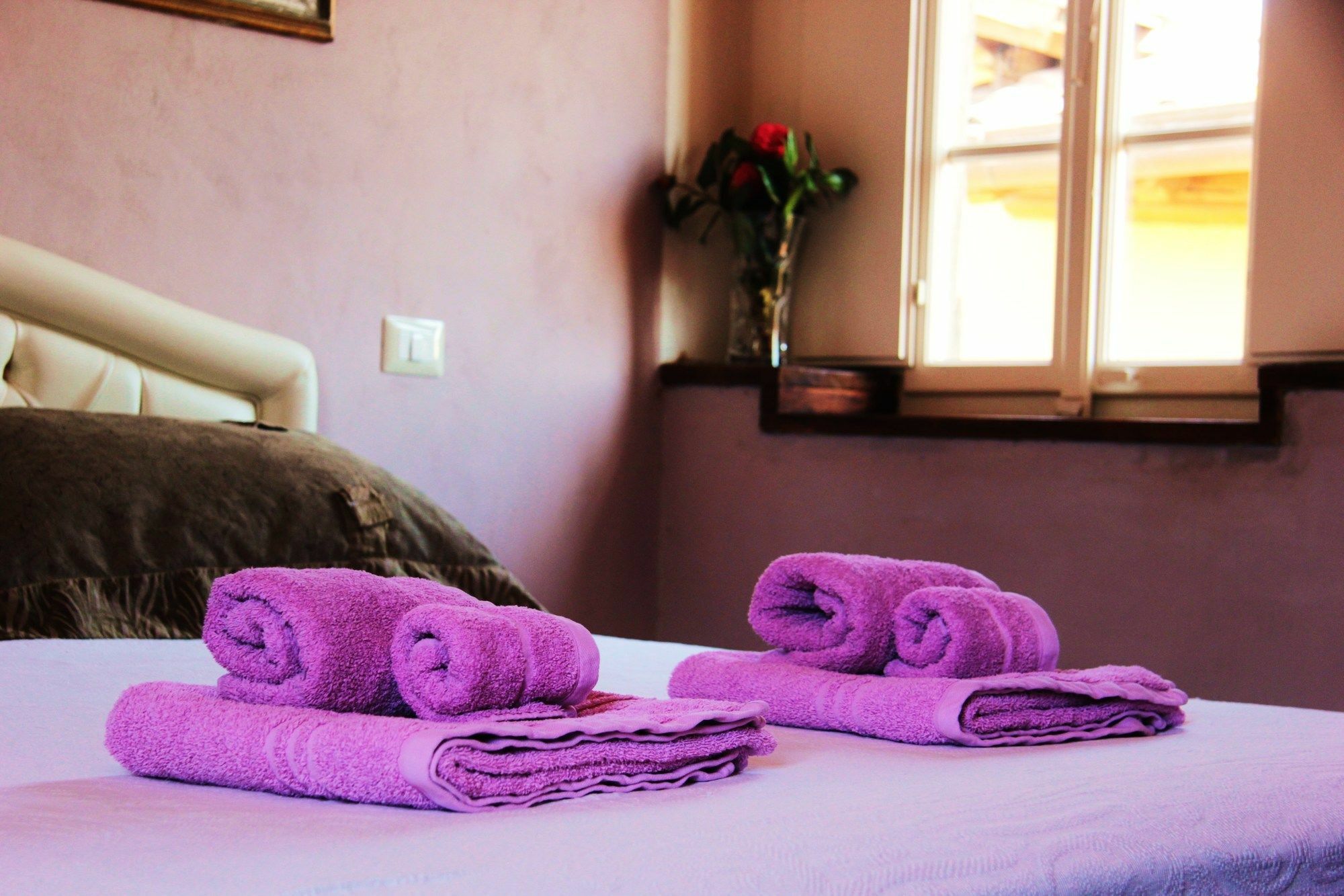 Hotel Altana Panoramic à Lucques Extérieur photo